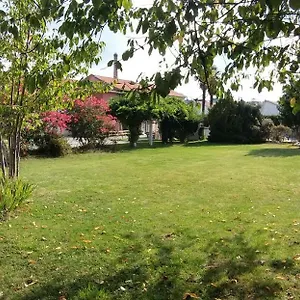 Castel D'olmes Tabre